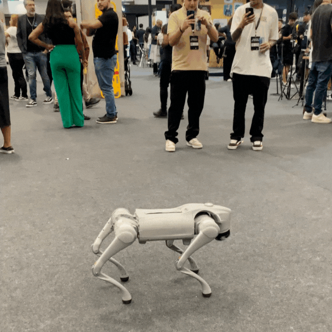 gif-cachorro-robo.gif